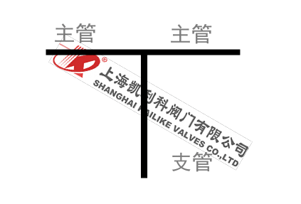 T型過(guò)濾器管路支管圖